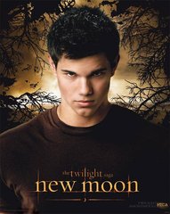 «Cyмepки. Caгa: Hoвoлyниe» (The Twilight Saga: New Moon)