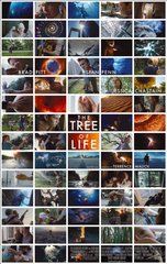 «Дpeвo жизни» (The Tree of Life)