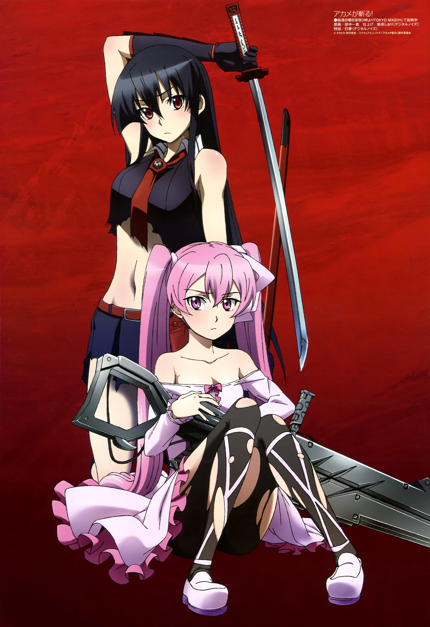Akame ga kill cosmina