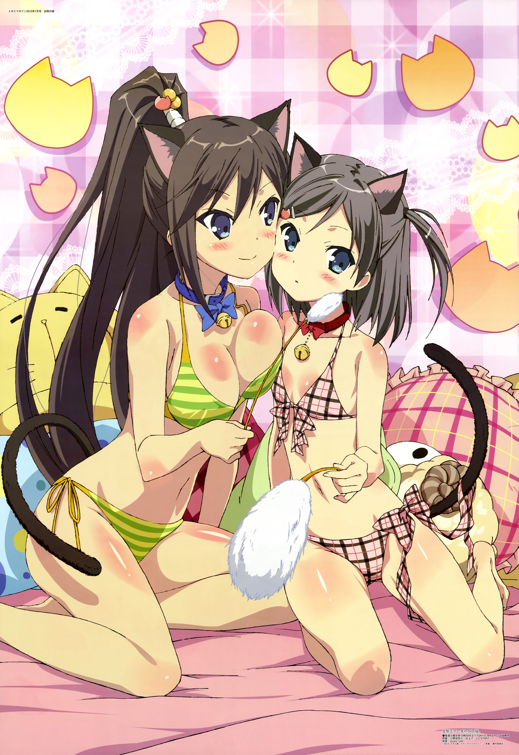 Аниме «Хентайный принц и каменная кошка» / Hentai Ōji to Warawanai Neko. /  HENNEKO (2013) — трейлеры, дата выхода | КГ-Портал