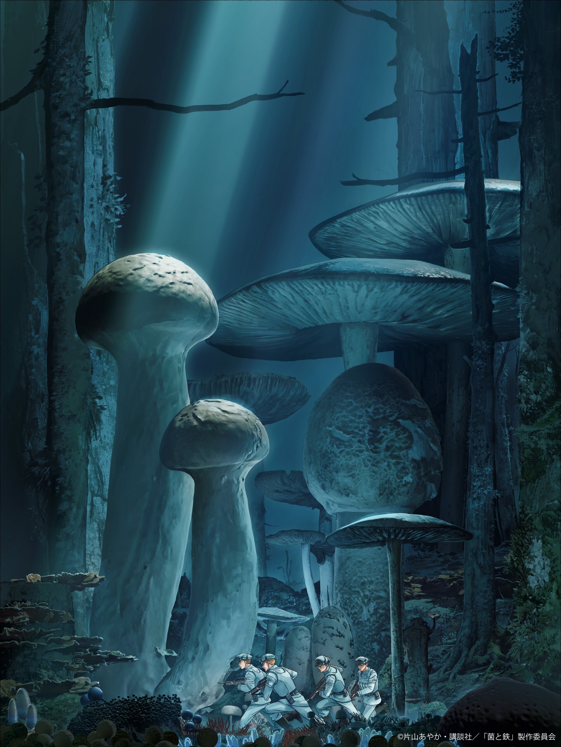 Грибок и железо, кадр № 1