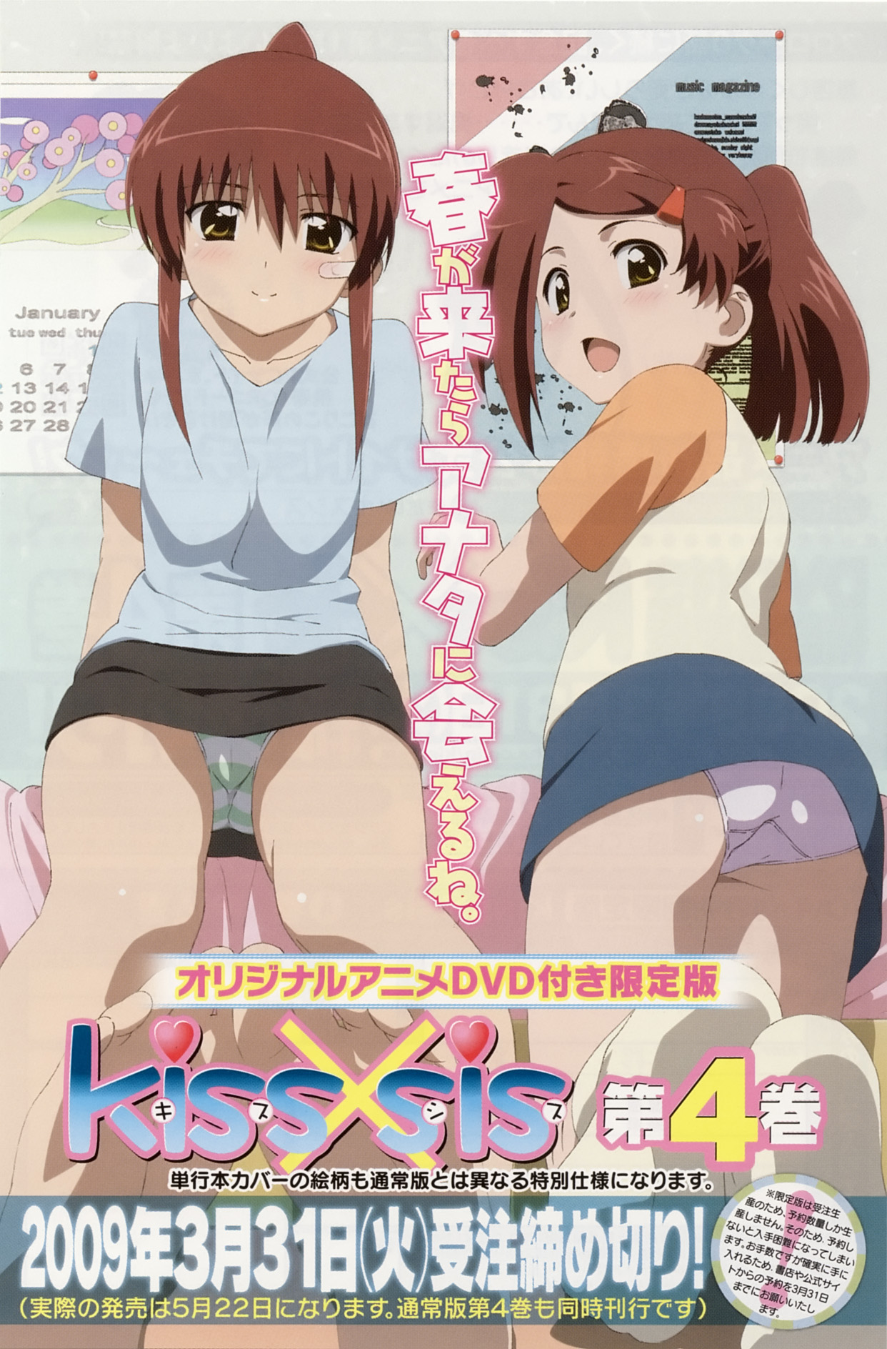 Поцелуи сестёр OVA, постер № 1