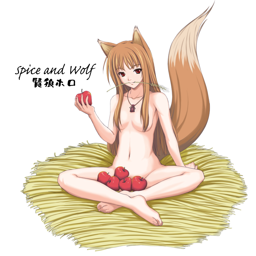 Аниме «Волчица и пряности» / Ōkami to Kōshinryō / Spice and Wolf —  трейлеры, дата выхода | КГ-Портал