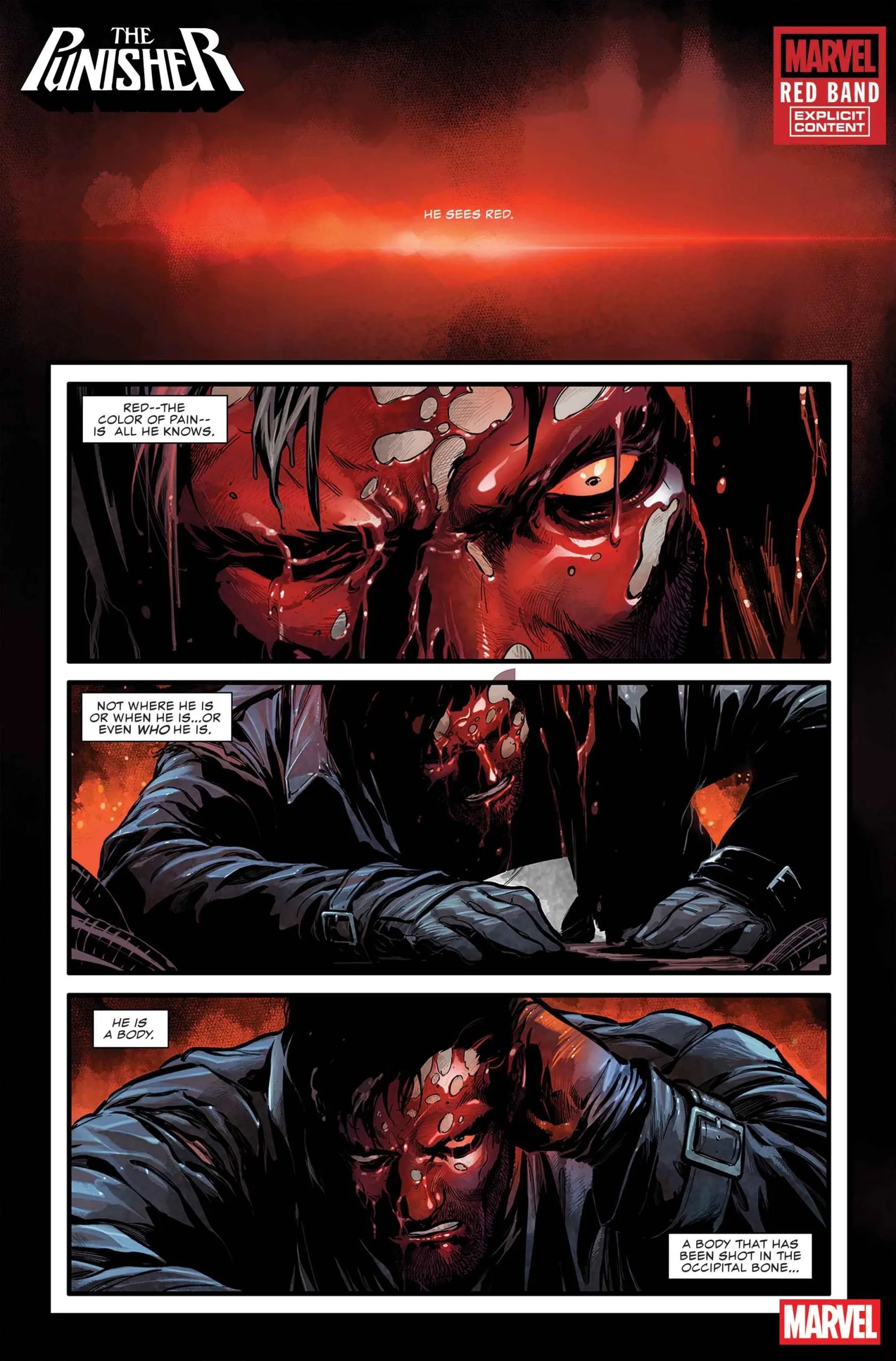 Каратель: Кровавая полоса, кадр № 3