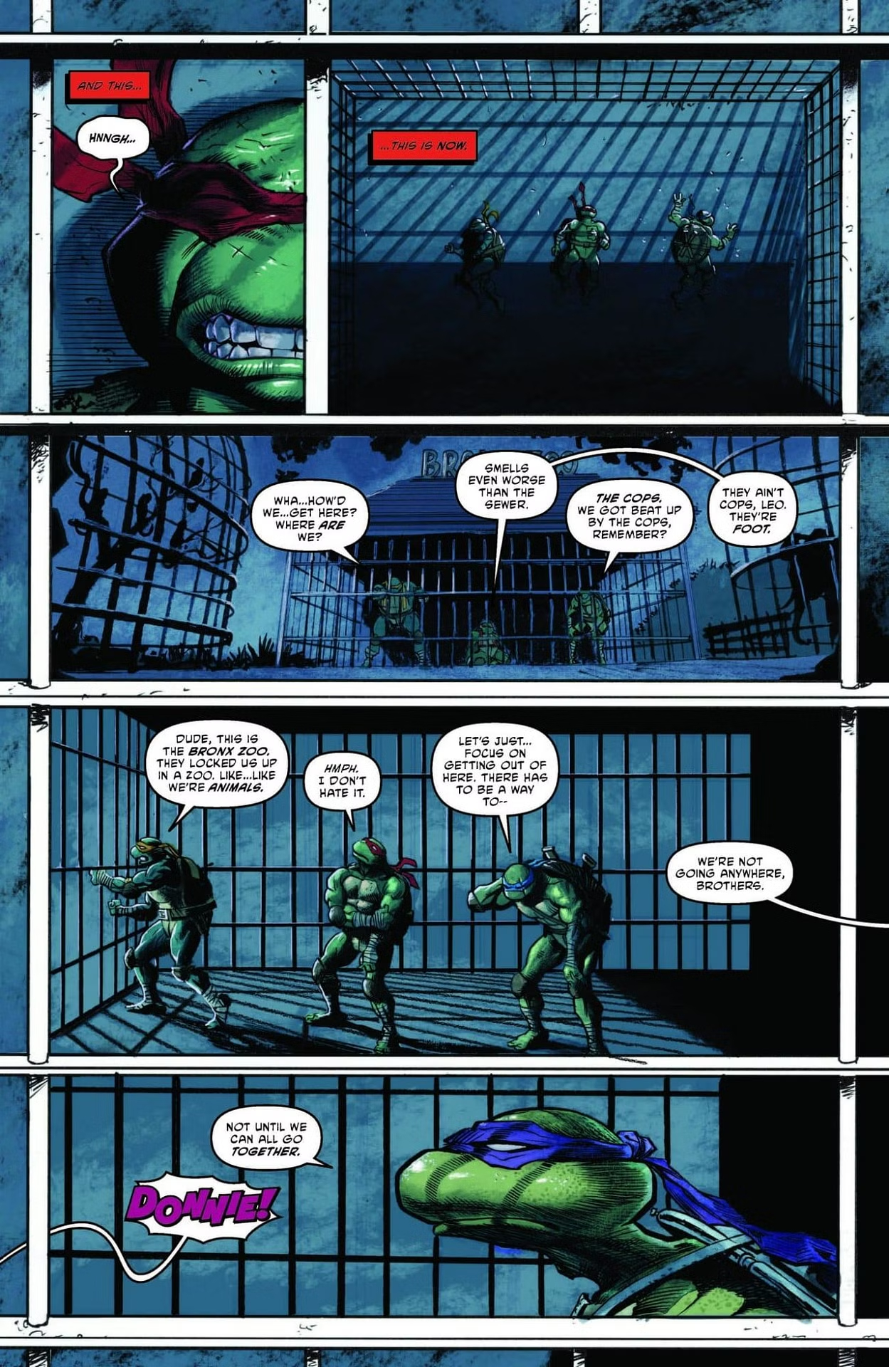 Подростки Мутанты Ниндзя Черепашки (2024), кадр № 37