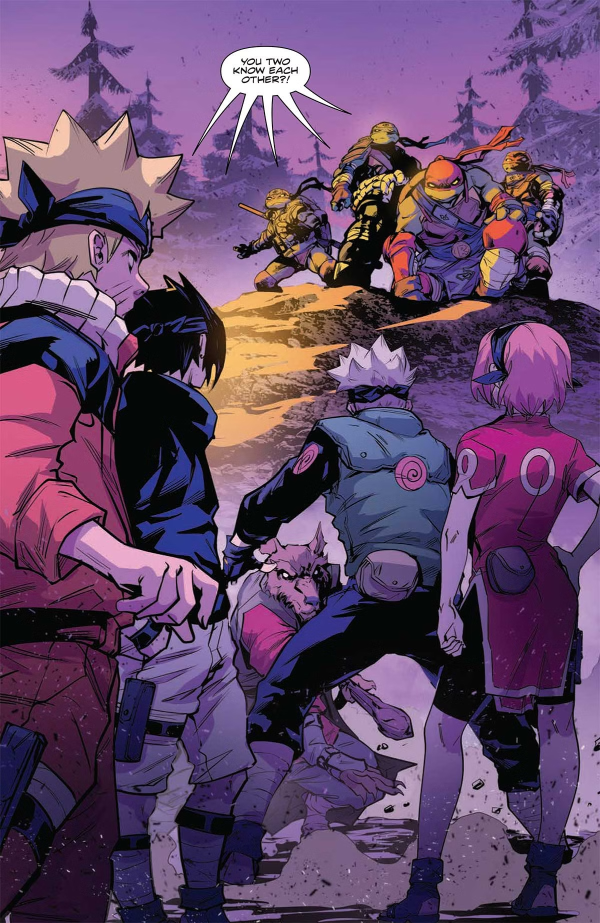 Подростки Мутанты Ниндзя Черепашки и Наруто, кадр № 7