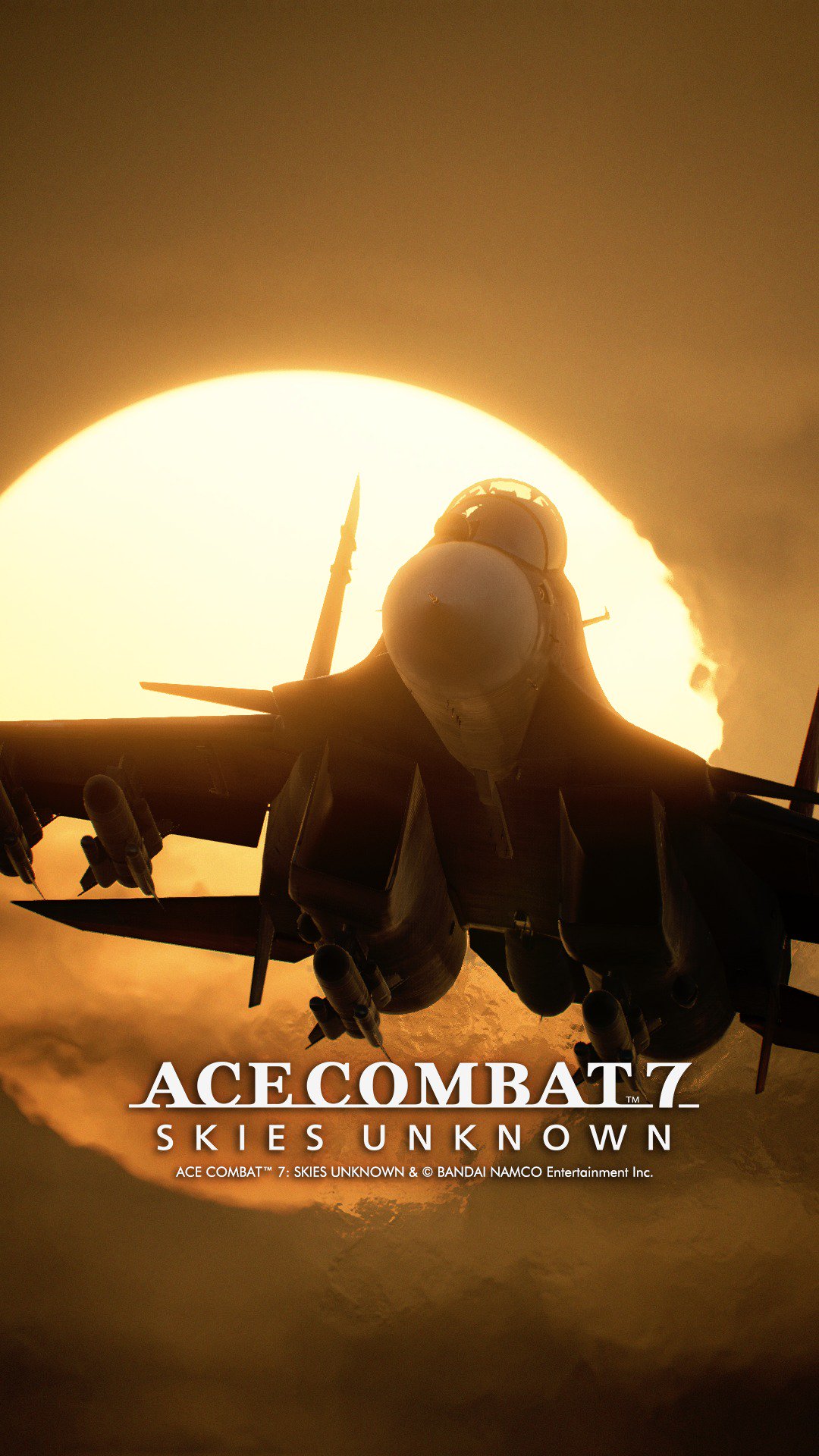 Ace Combat 7: Skies Unknown, постер № 3