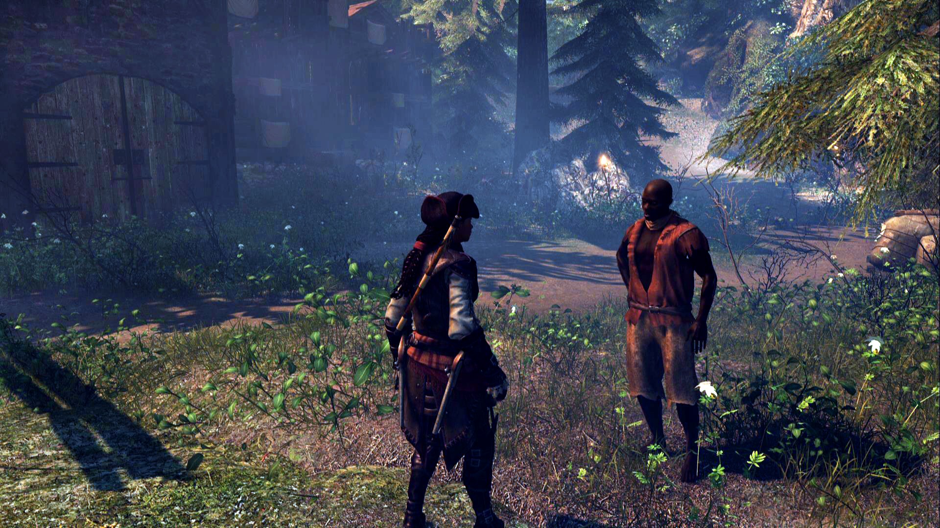 Assassin's Creed IV: Black Flag - Aveline, кадр № 3