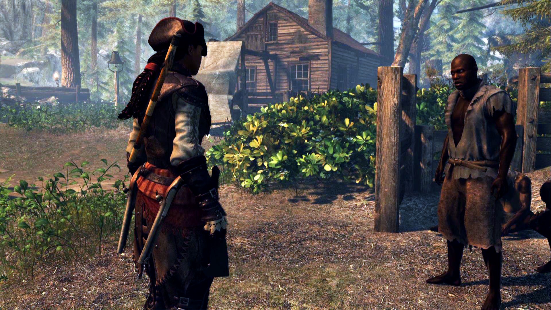 Assassin's Creed IV: Black Flag - Aveline, кадр № 5