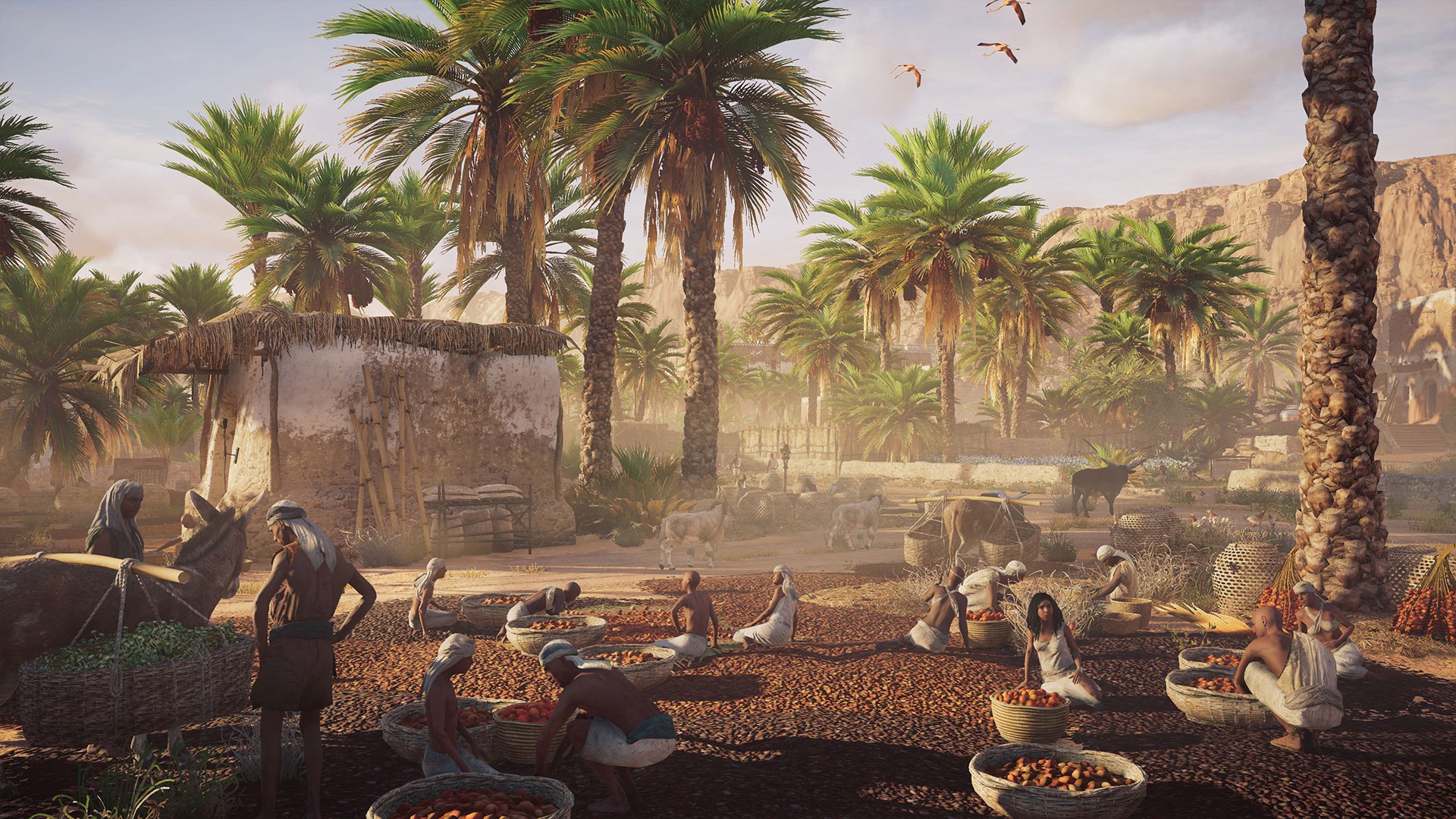 Assassin’s Creed: Истоки, кадр № 16