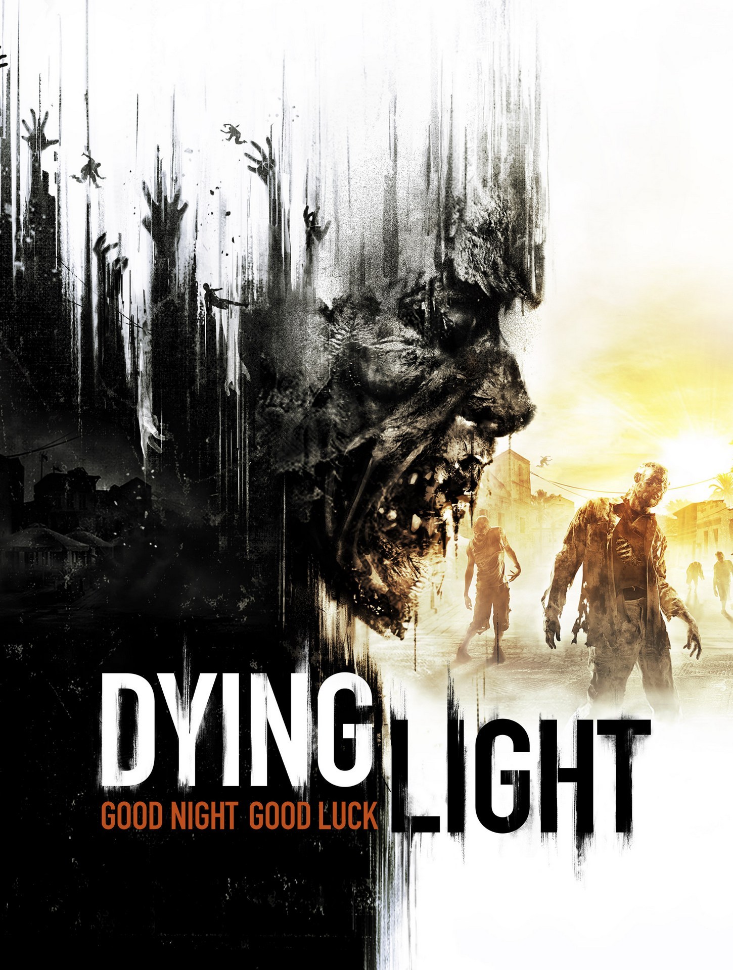 Dying Light, постер № 1