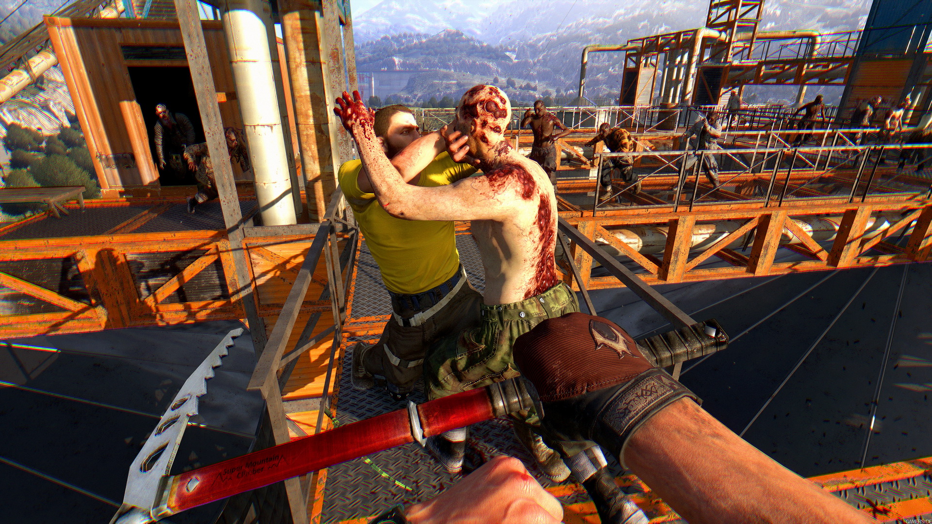 Dying Light: The Following, кадр № 11