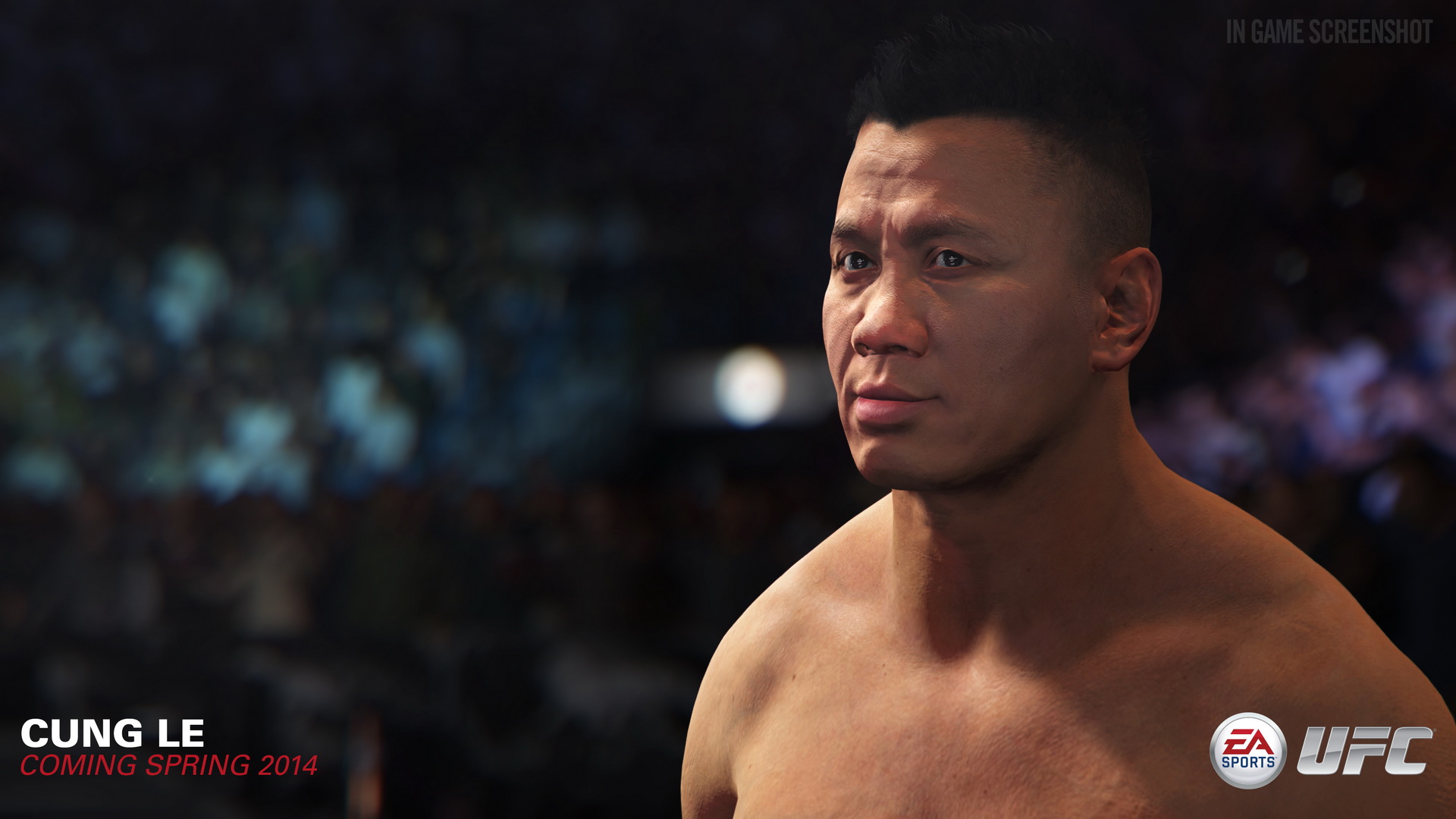 EA Sports UFC, кадр № 18