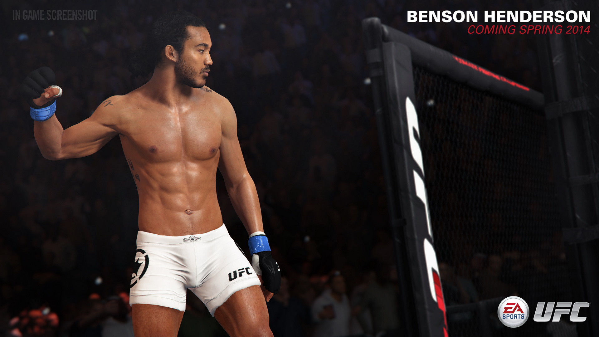 EA Sports UFC, кадр № 33