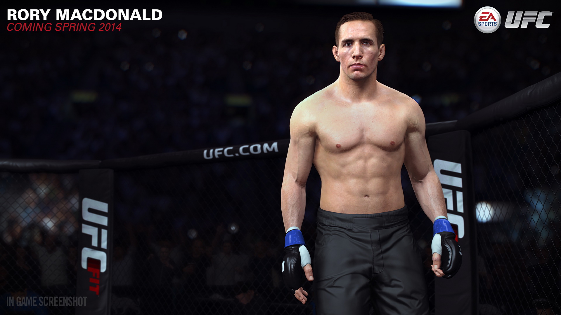 EA Sports UFC, кадр № 47
