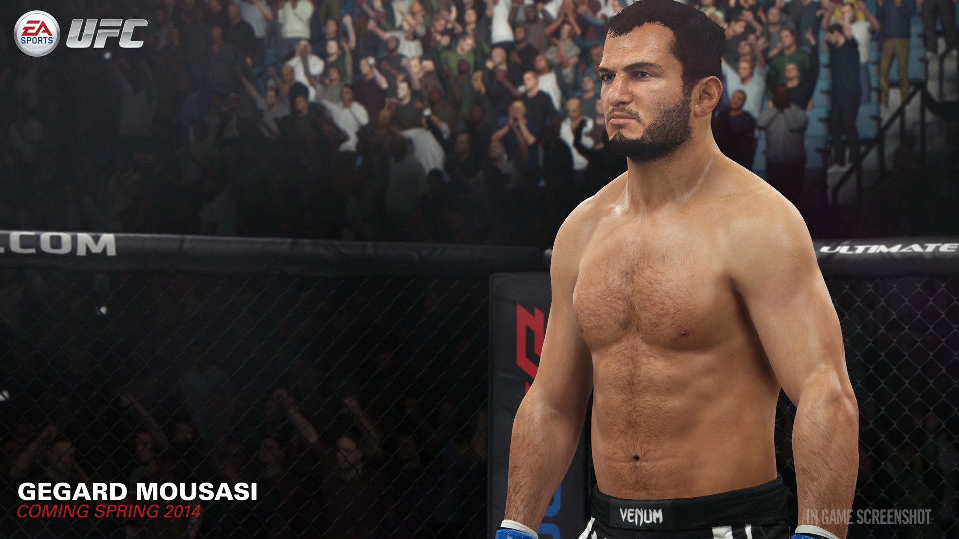 EA Sports UFC, кадр № 56