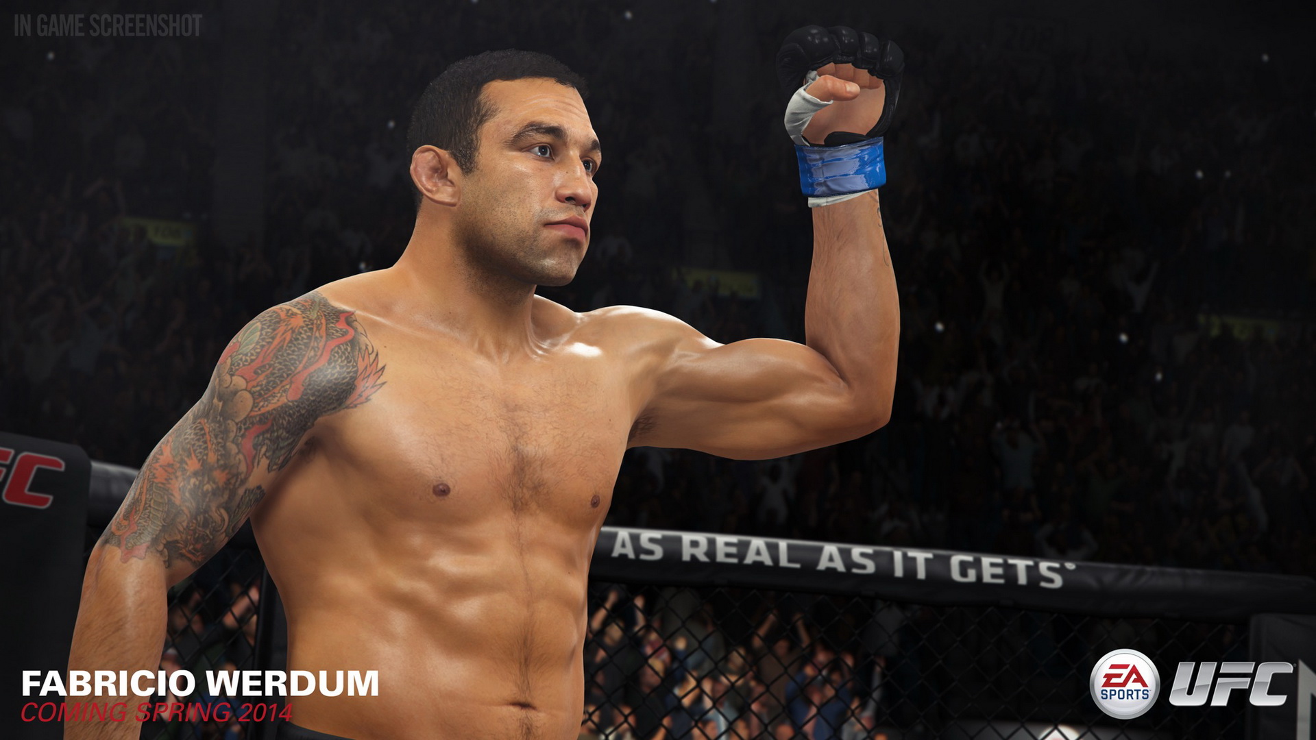 EA Sports UFC, кадр № 60