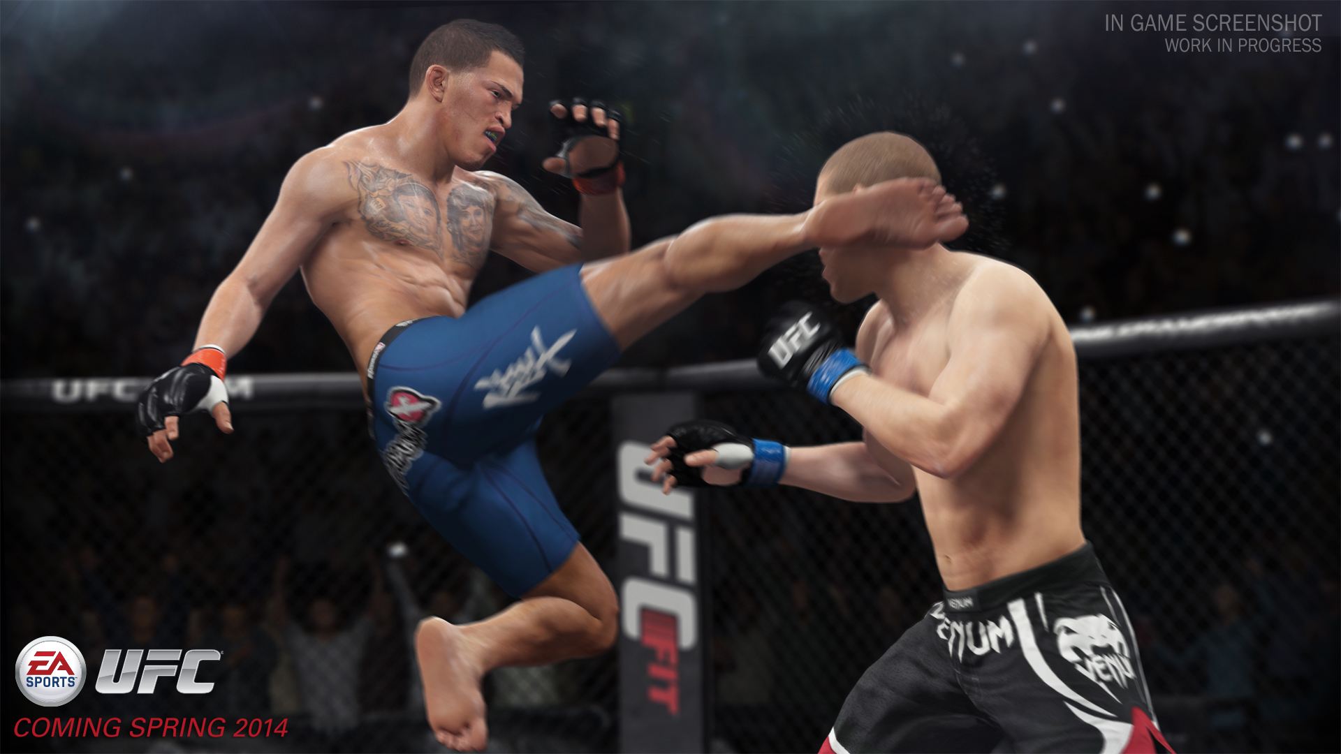 EA Sports UFC, кадр № 61