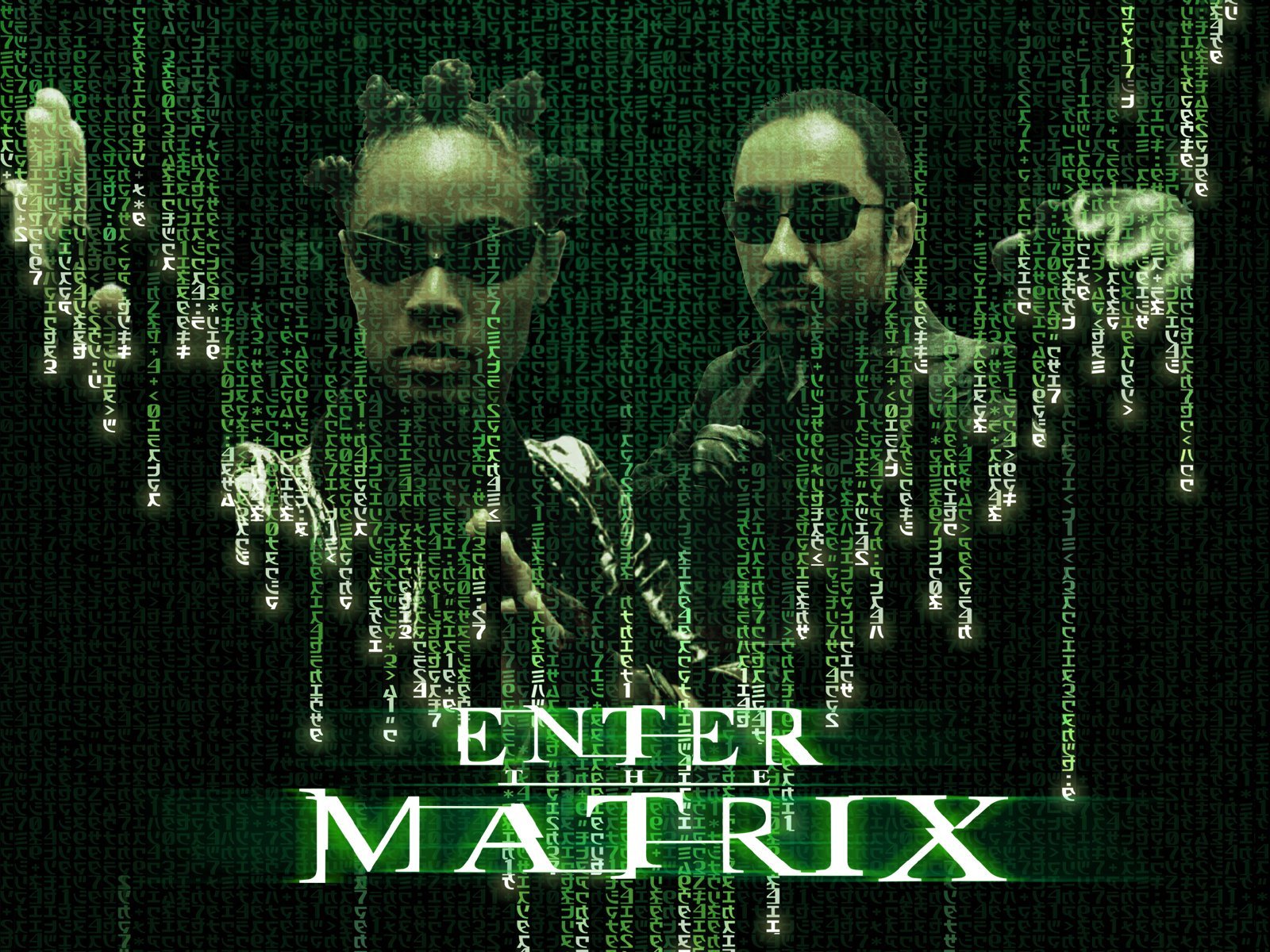 Enter the Matrix, постер № 1
