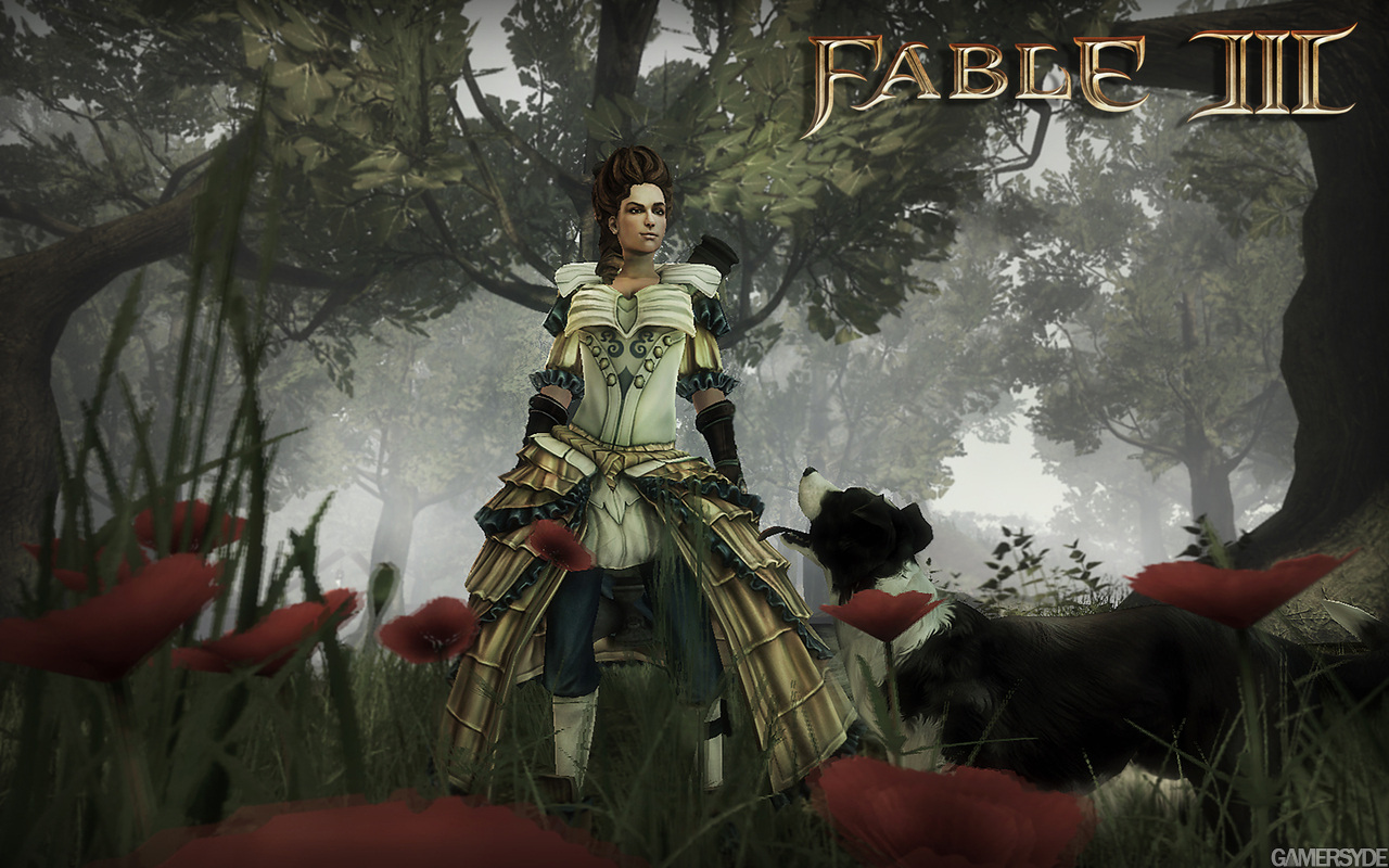 Fable III, кадр № 69