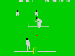 Graham Gooch's Test Cricket, кадр № 2
