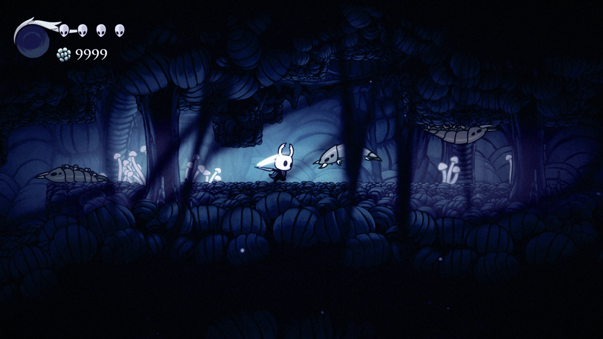 Hollow Knight, кадр № 7