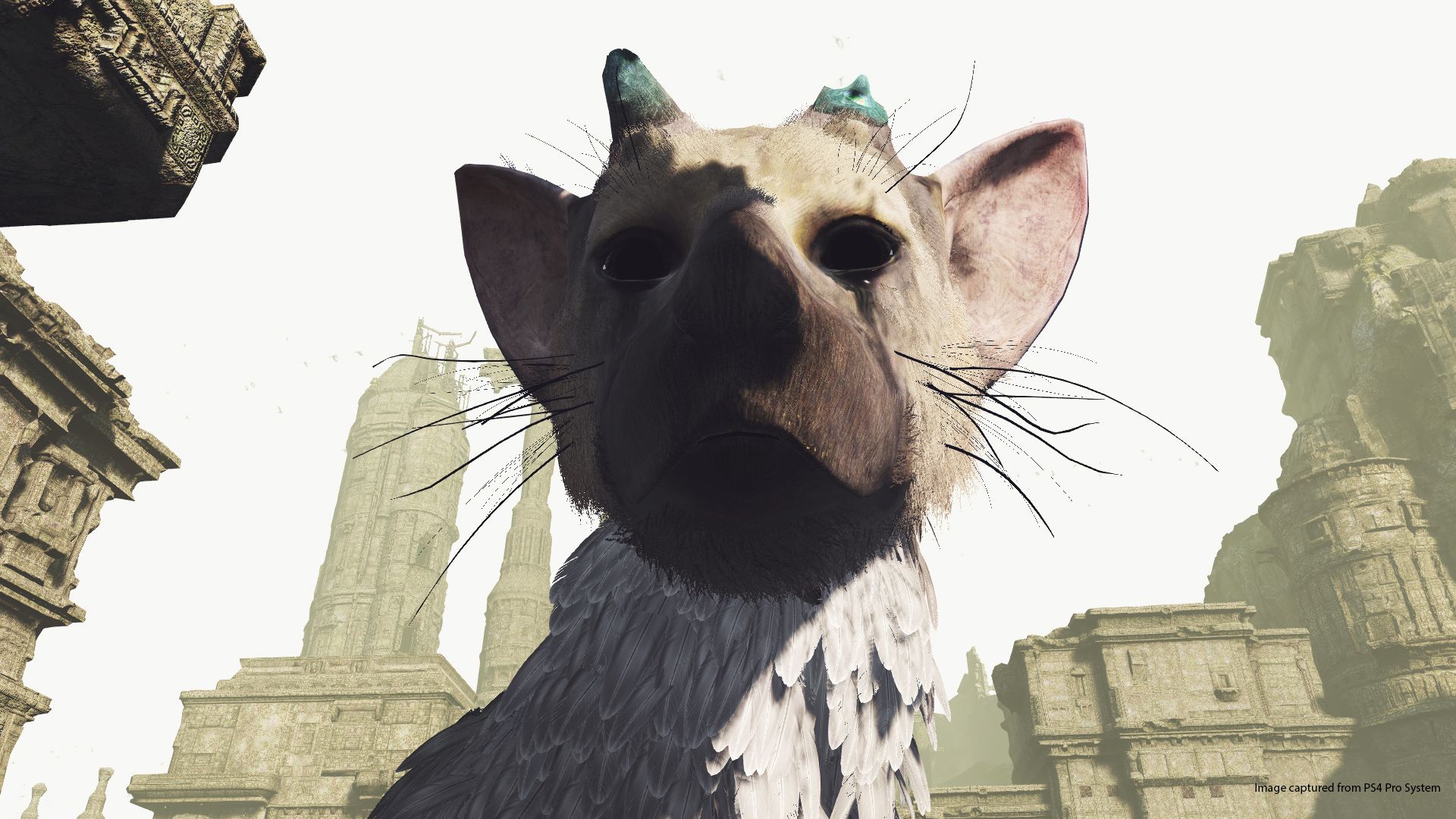 The Last Guardian VR, кадр № 1