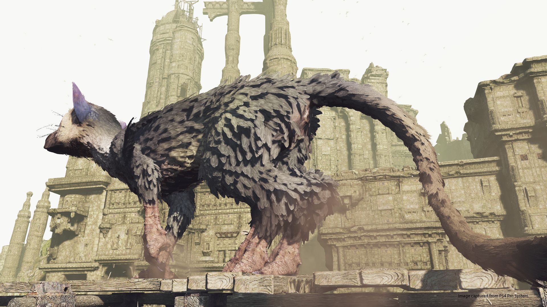 The Last Guardian VR, кадр № 12