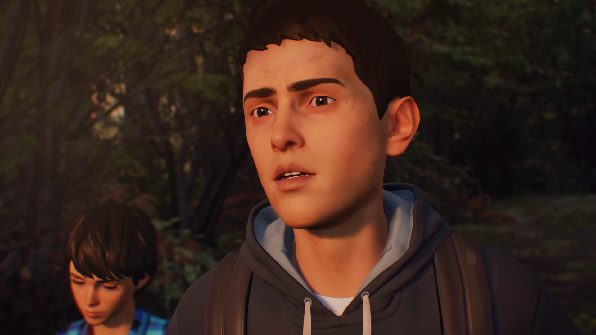 Игра Life is Strange 2 (2018) — трейлеры, дата выхода | КГ-Портал