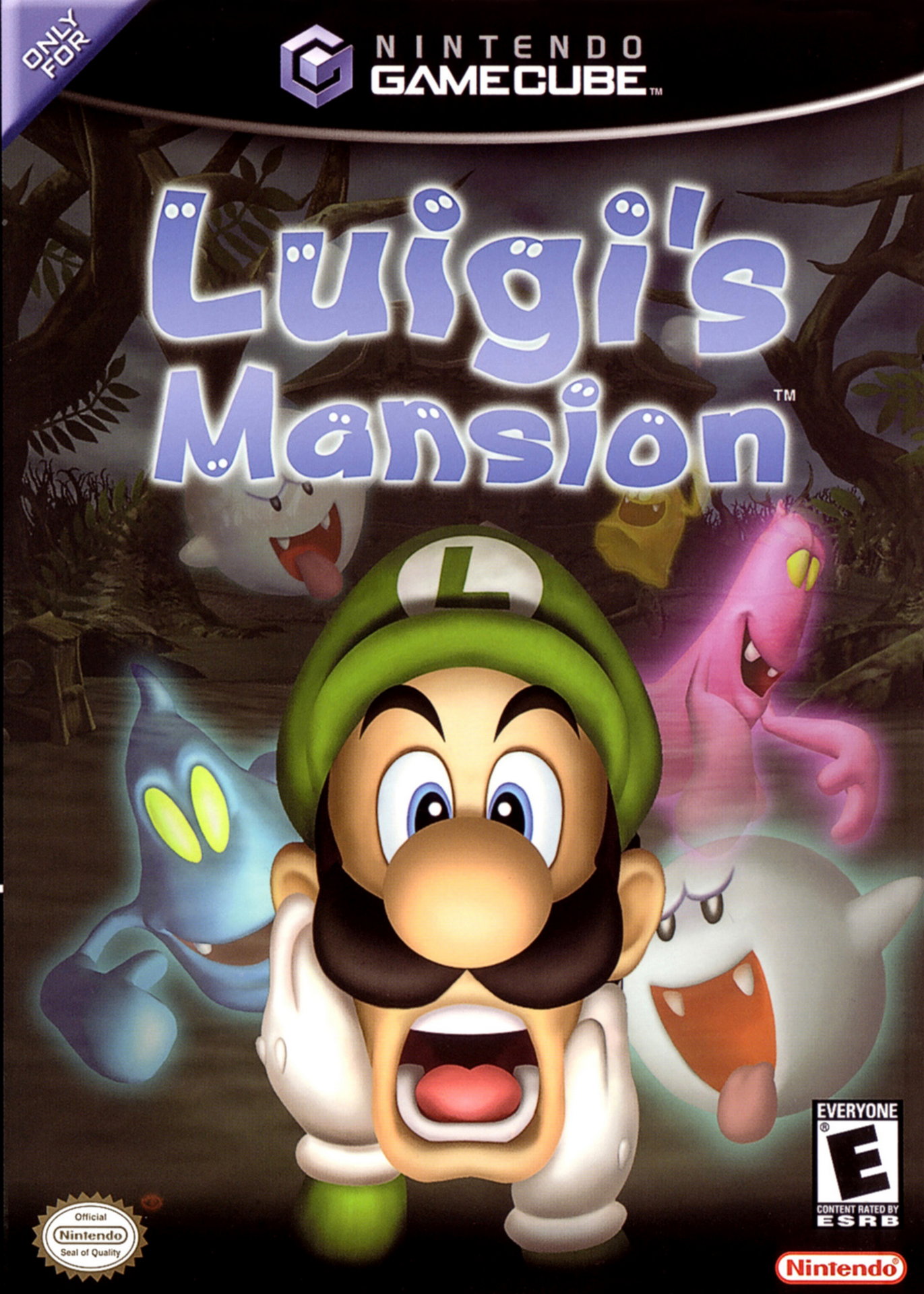 Luigi's Mansion, постер № 1
