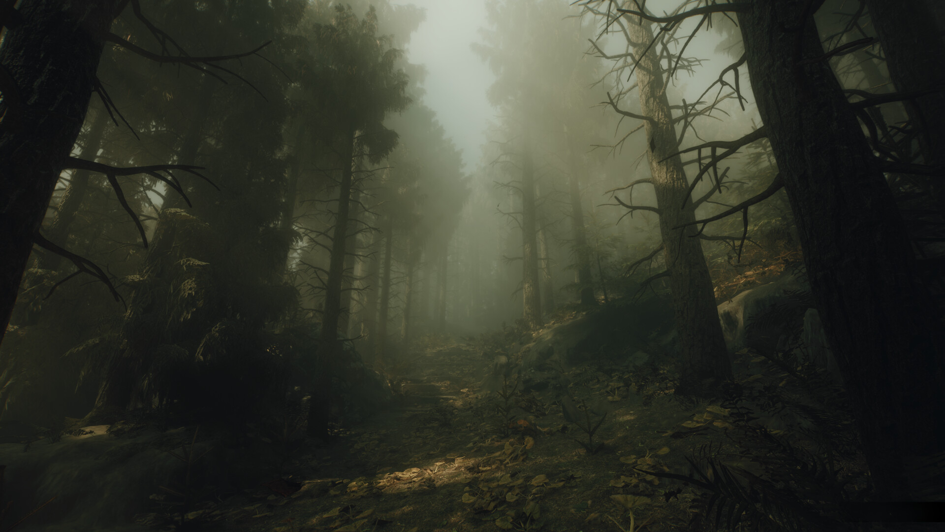 The Occultist, кадр № 9