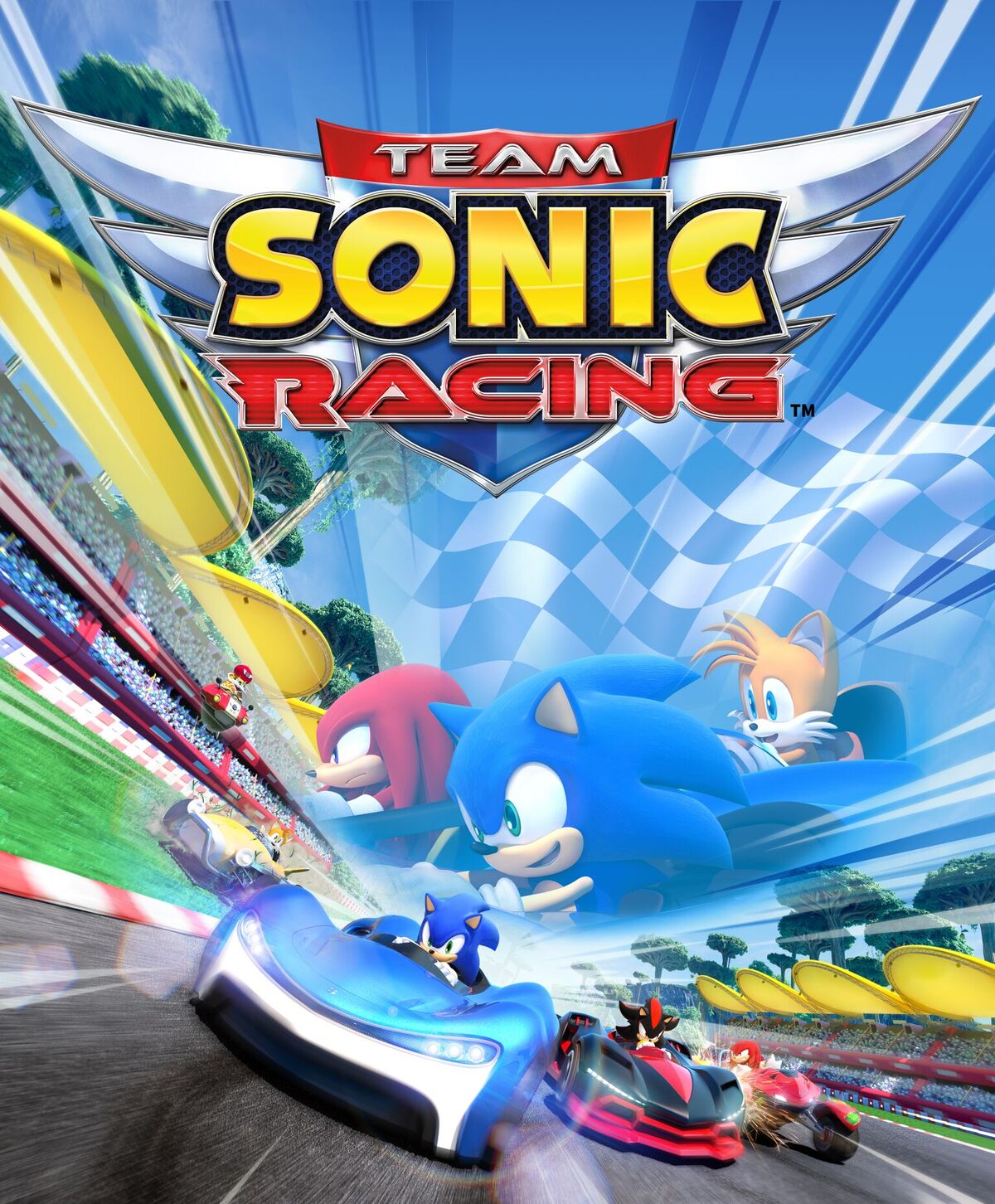 Team Sonic Racing, постер № 2