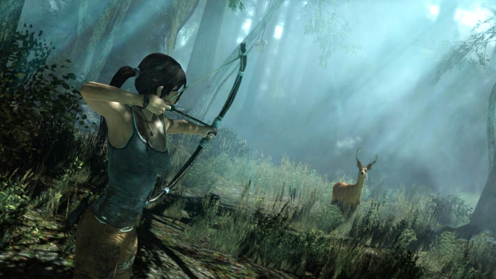 Tomb Raider, кадр № 4