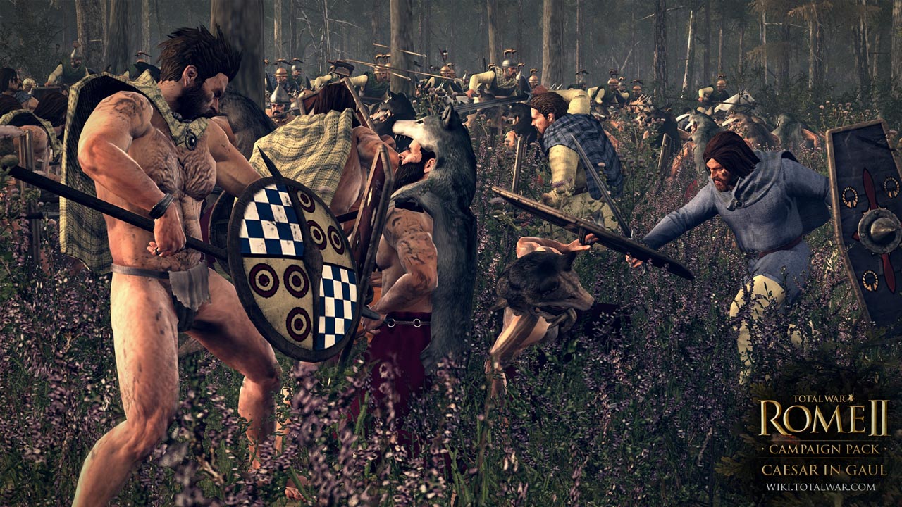Total War: Rome II — Цезарь в Галлии, кадр № 2