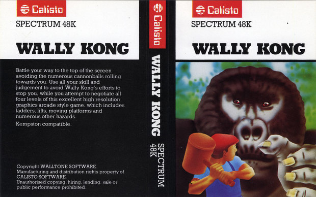Wally Kong, постер № 2