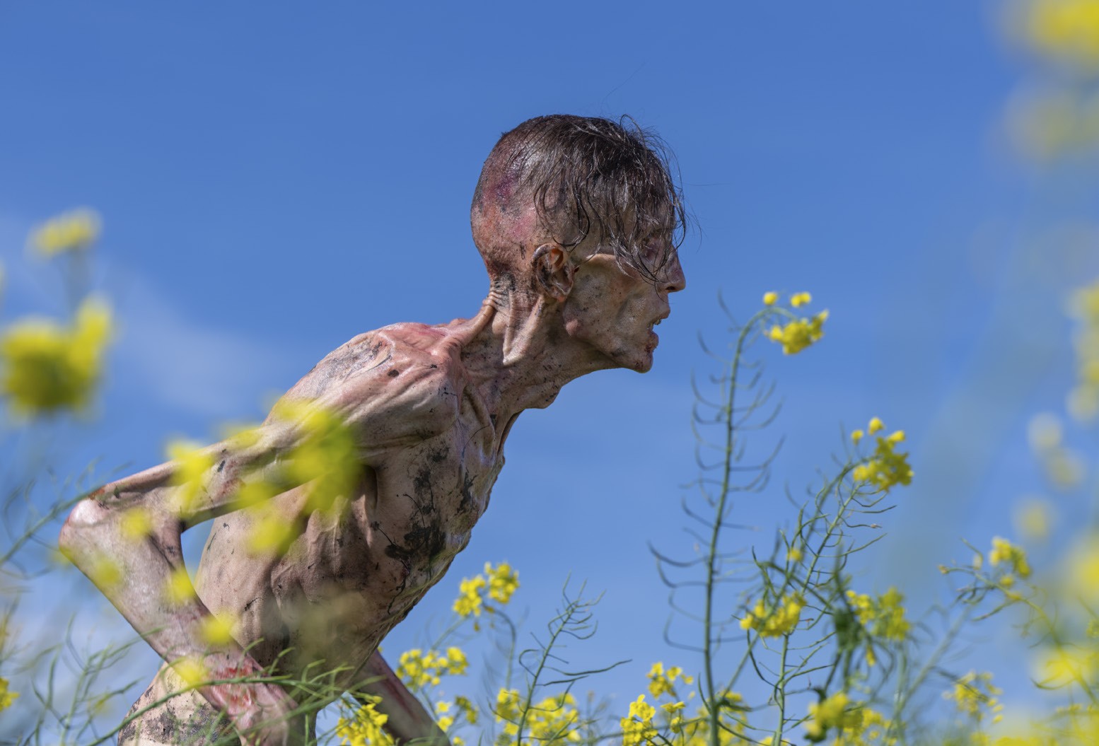 28 лет спустя, кадр № 5