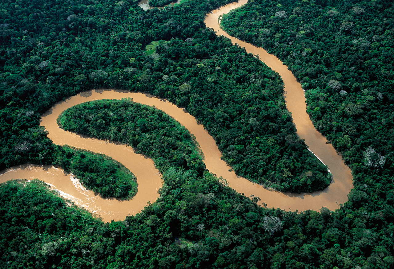 Амазония: Инструкция по выживанию, кадр № 22