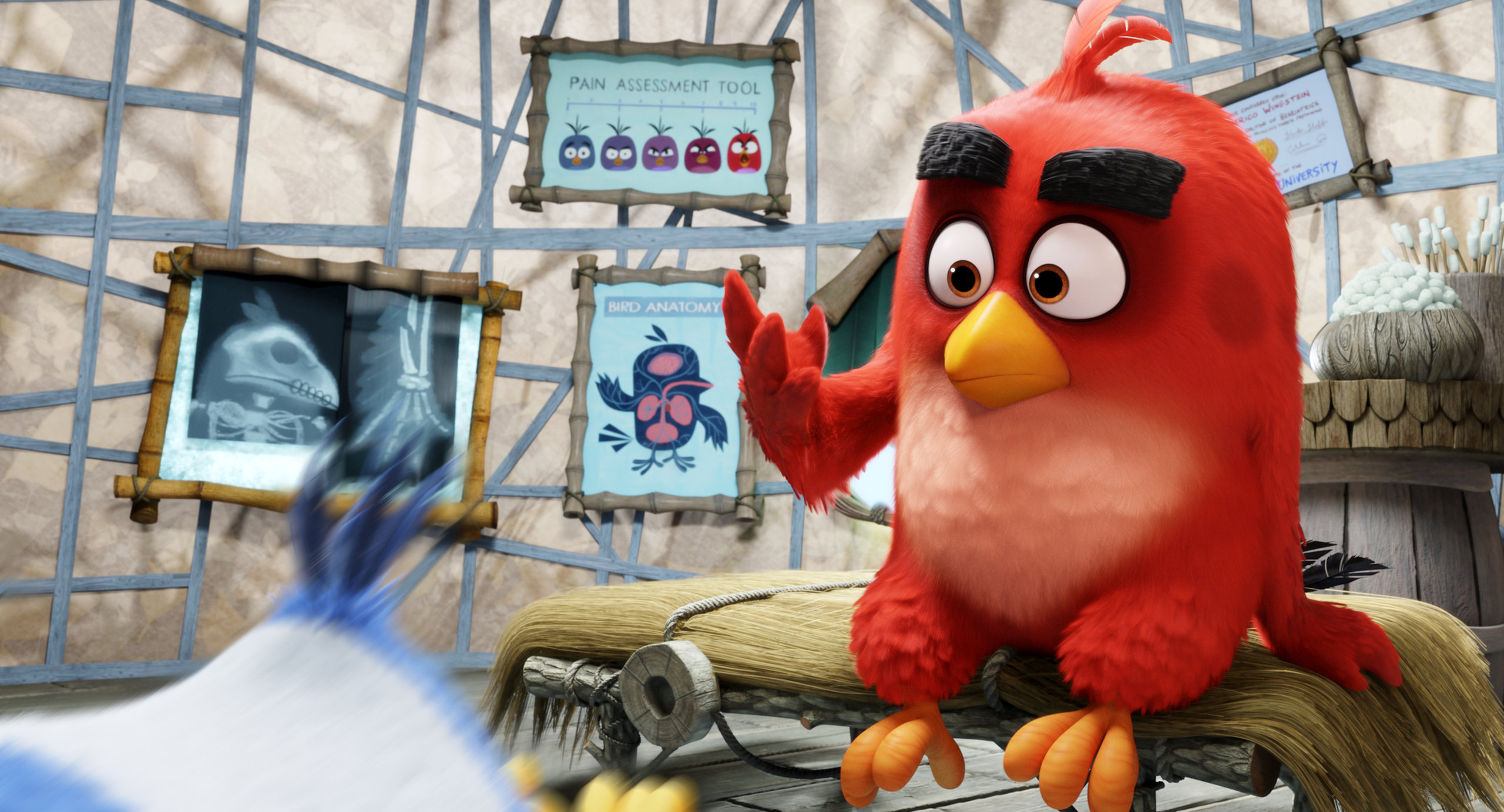 Angry Birds в кино, кадр № 10