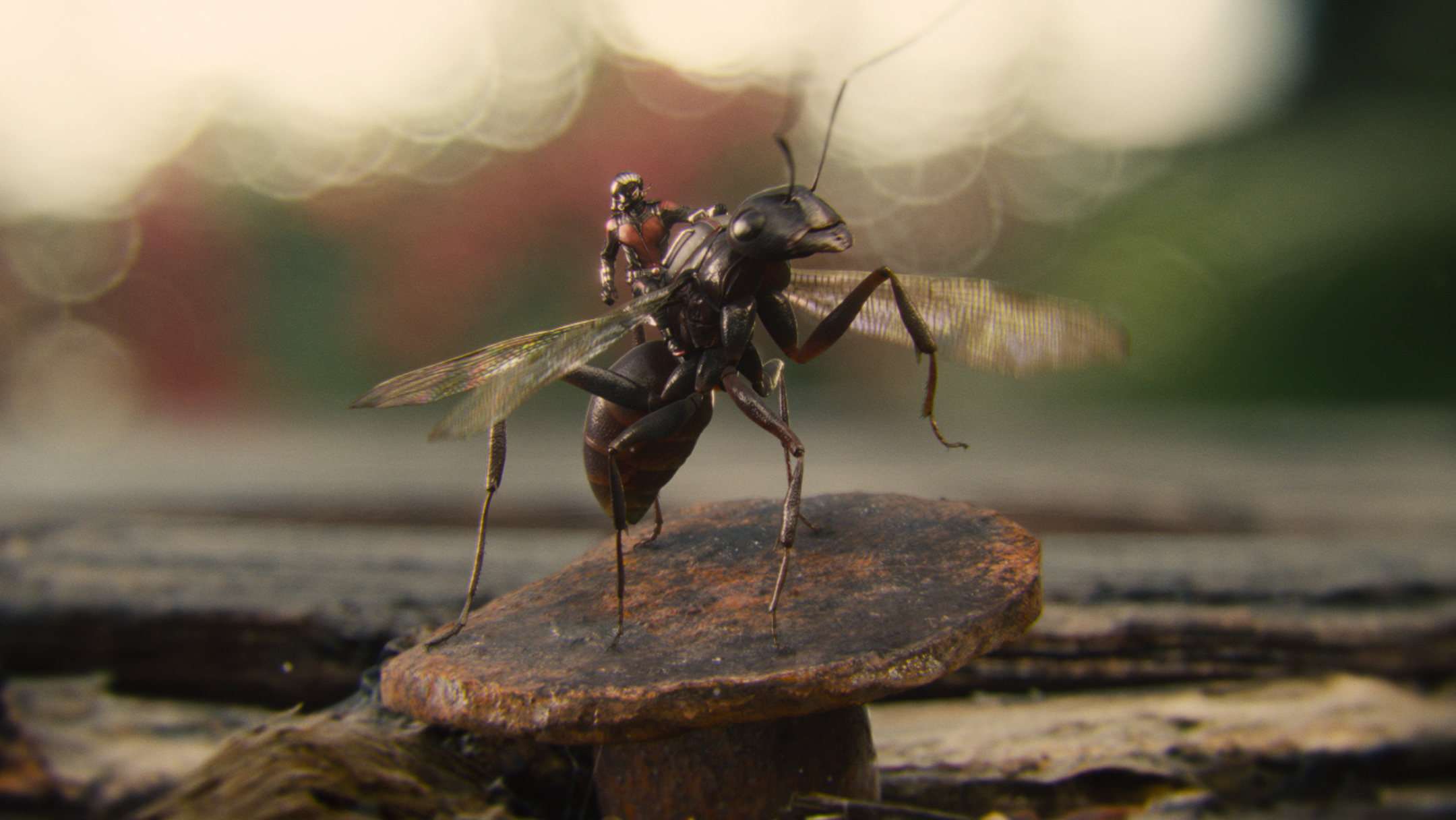 Человек-муравей, кадр № 48
