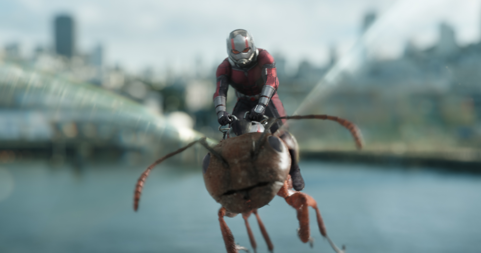 Человек-муравей и Оса, кадр № 17