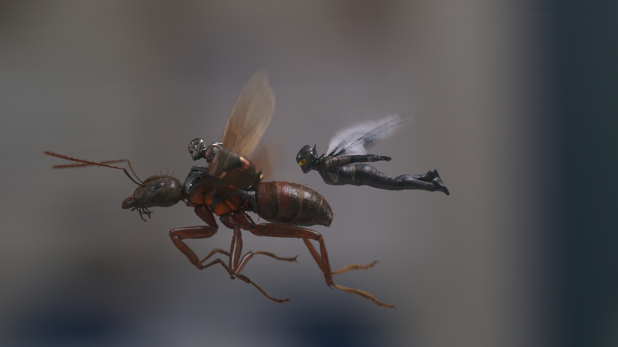 Человек-муравей и Оса, кадр № 7