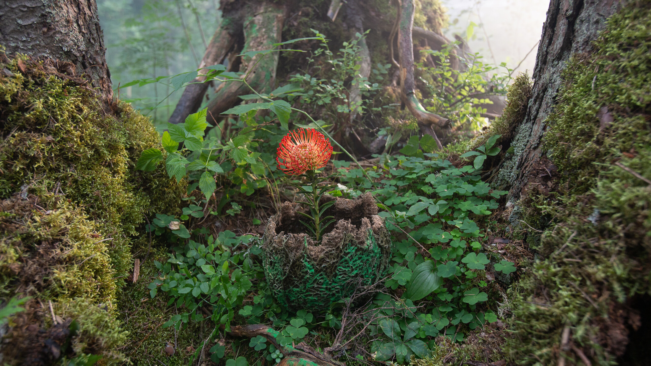 Чудо-Юдо, кадр № 1