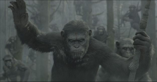 Планета обезьян: Революция, кадр № 1