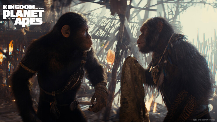 Кадры из фильма «Планета обезьян: Новое царство»