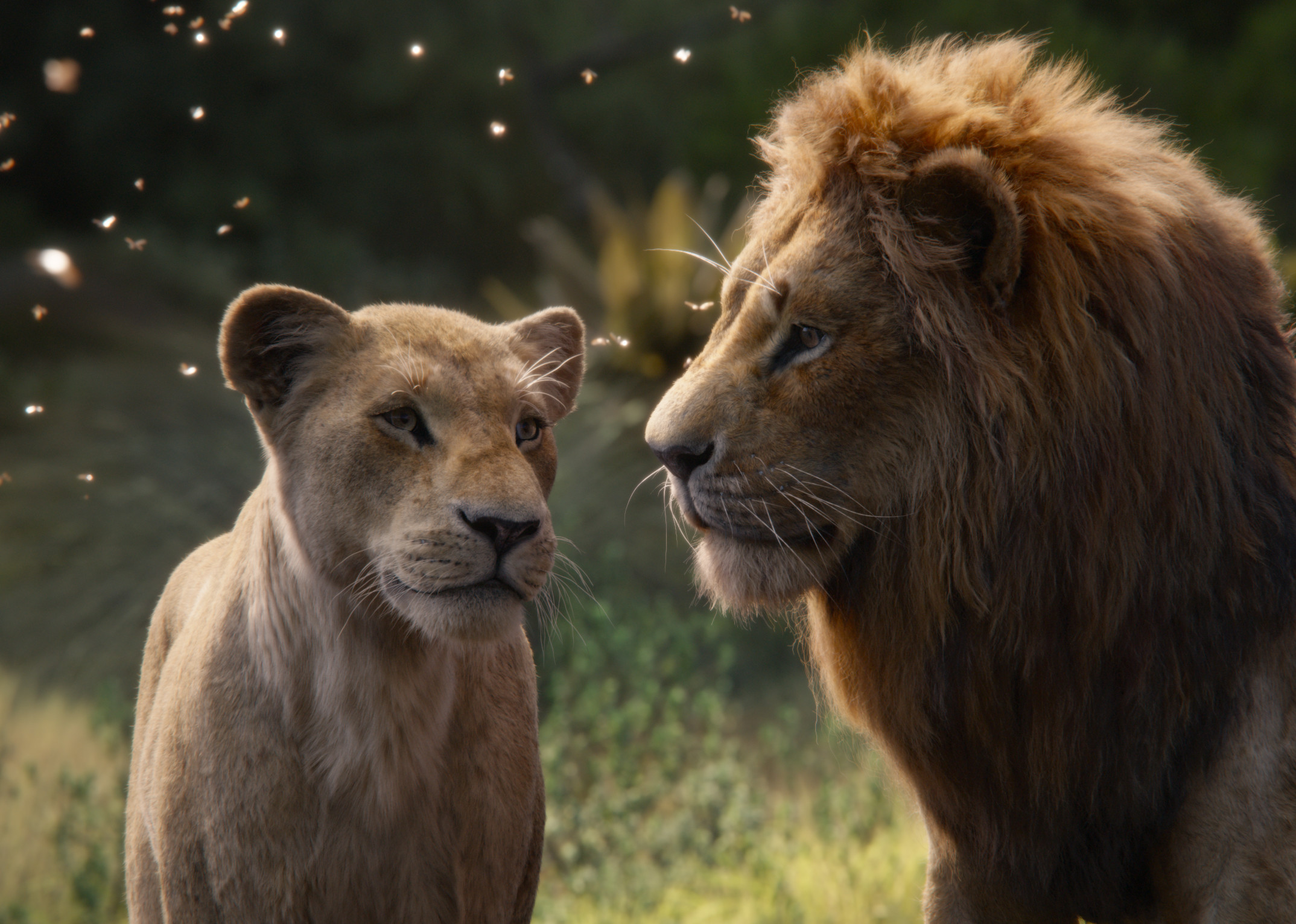Король лев 2019 года. Король Лев 2019 Симба и Нала.