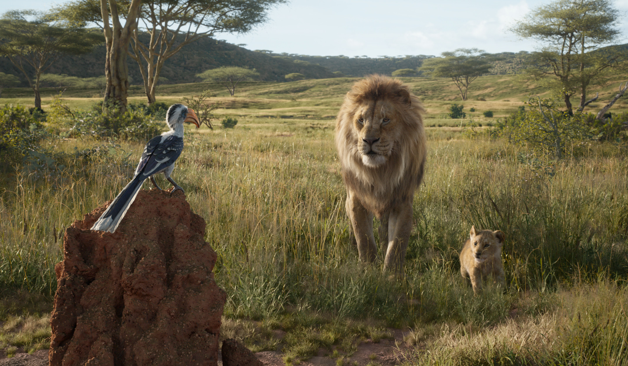 Король лев 2019 года. Король Лев the Lion King 2019. «Король Лев» (США, 2019).