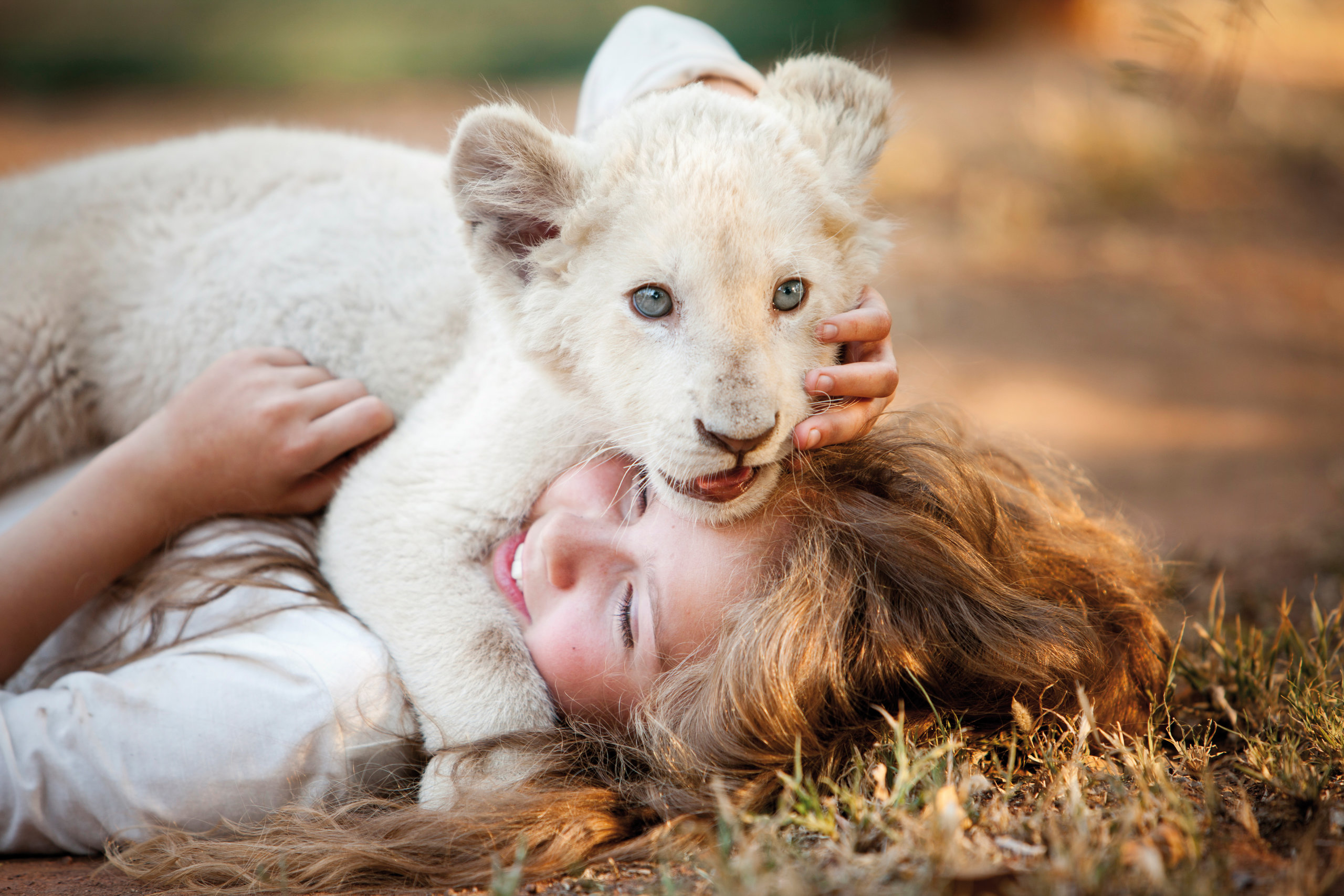 Миа и белый лев, кадр № 2