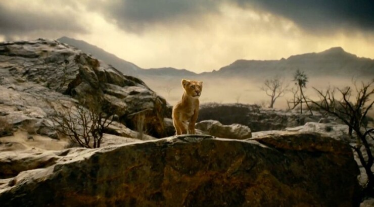 Кадры из фильма «Муфаса: Король Лев»