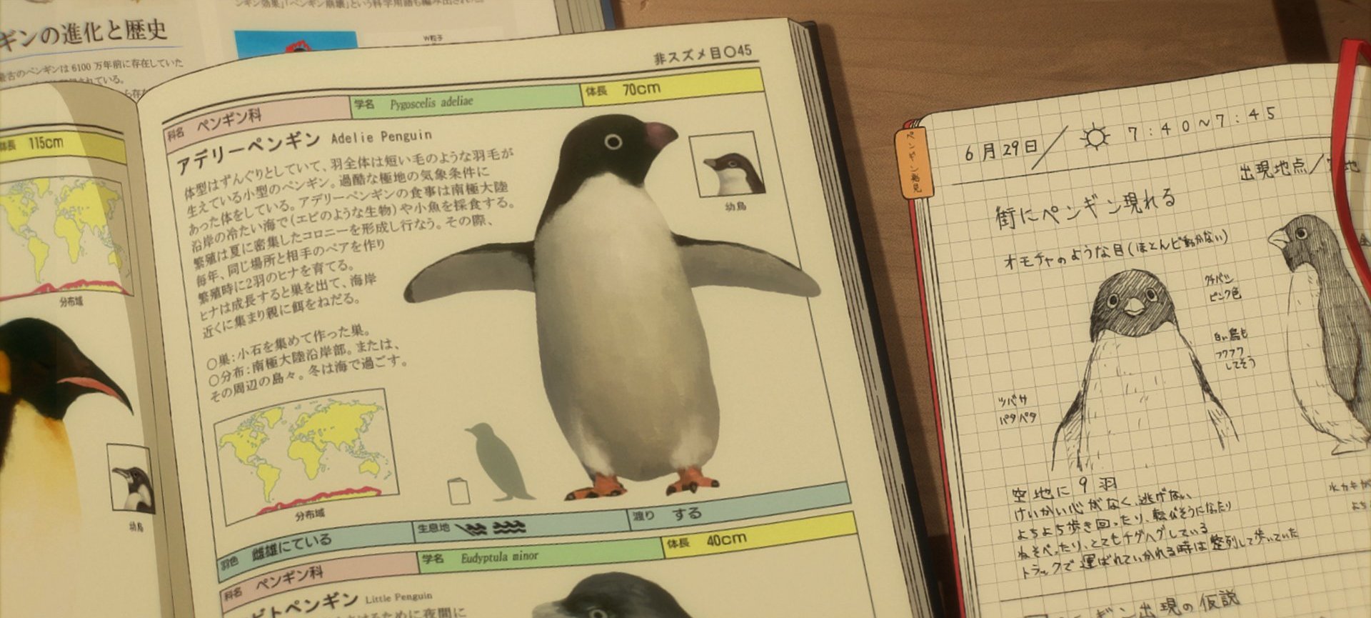 Тайная жизнь пингвинов, кадр № 14