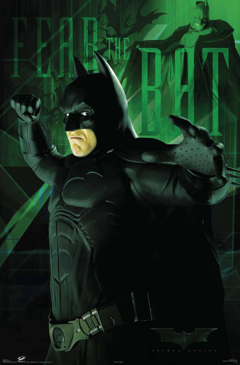 Бэтмен: Начало, постер № 9